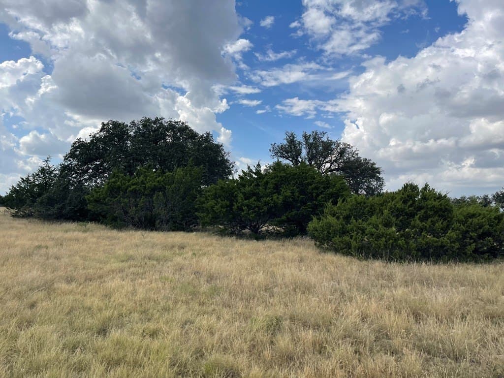 200 acres in Schleicher County gallery image 3