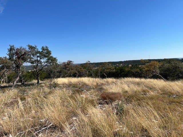 10.02 acres in Gillespie County gallery image 4