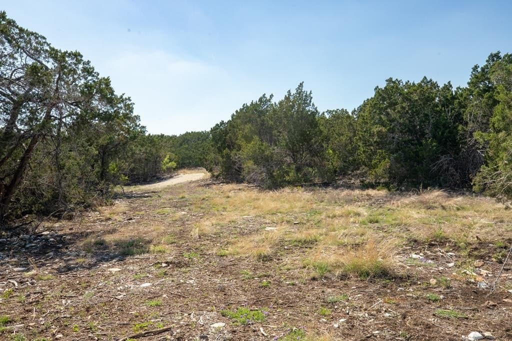 10.02 acres in Gillespie County gallery image 2