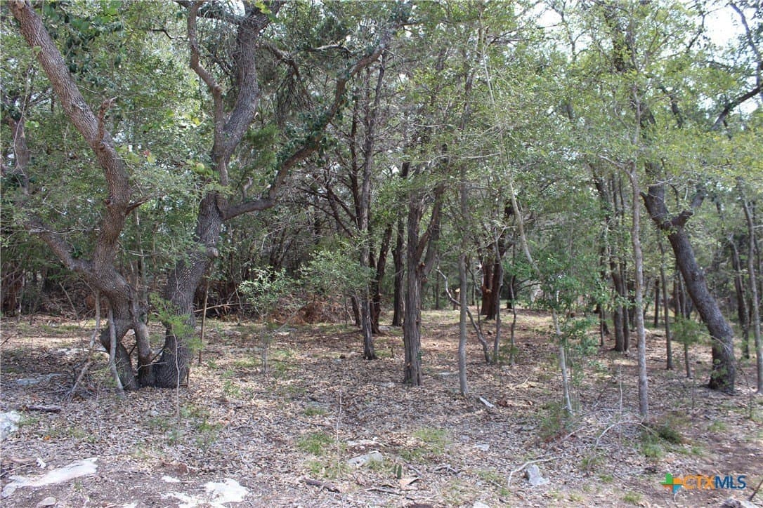 5.05 acres in Comal County gallery image 3