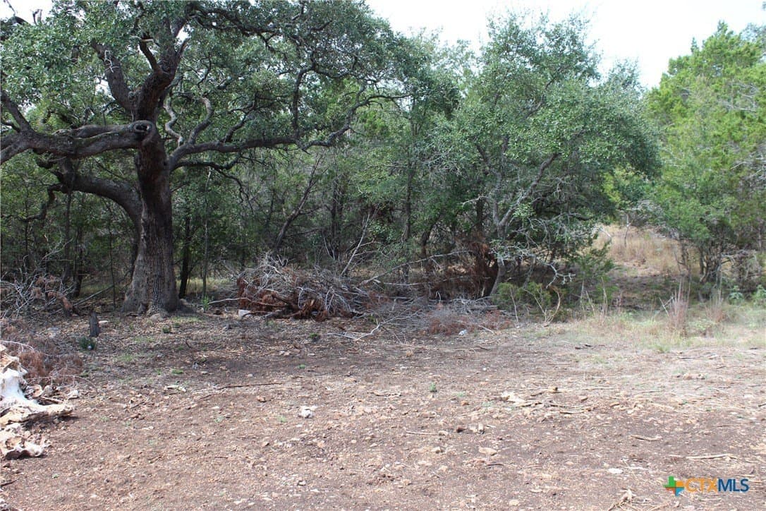 5.05 acres in Comal County gallery image 2