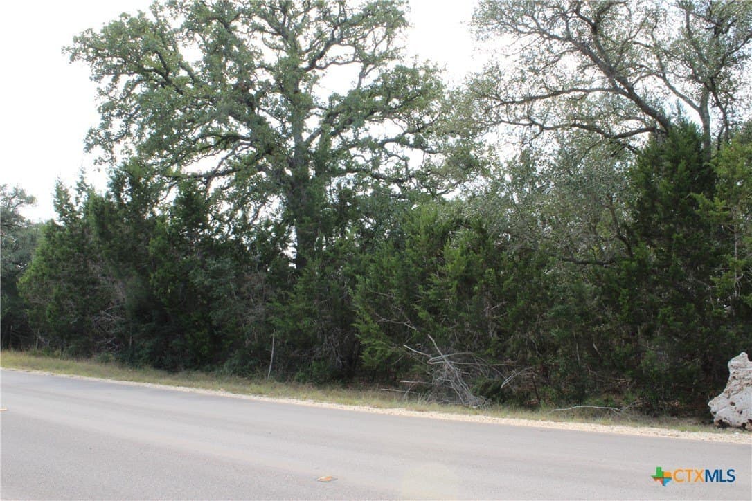 5.05 acres in Comal County gallery image 4
