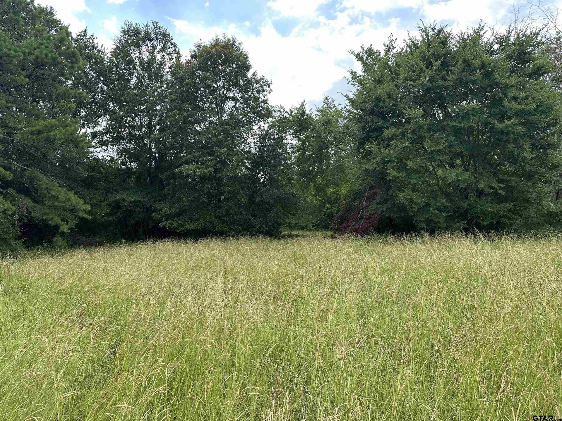 42.48 acres in Anderson County - photo 13