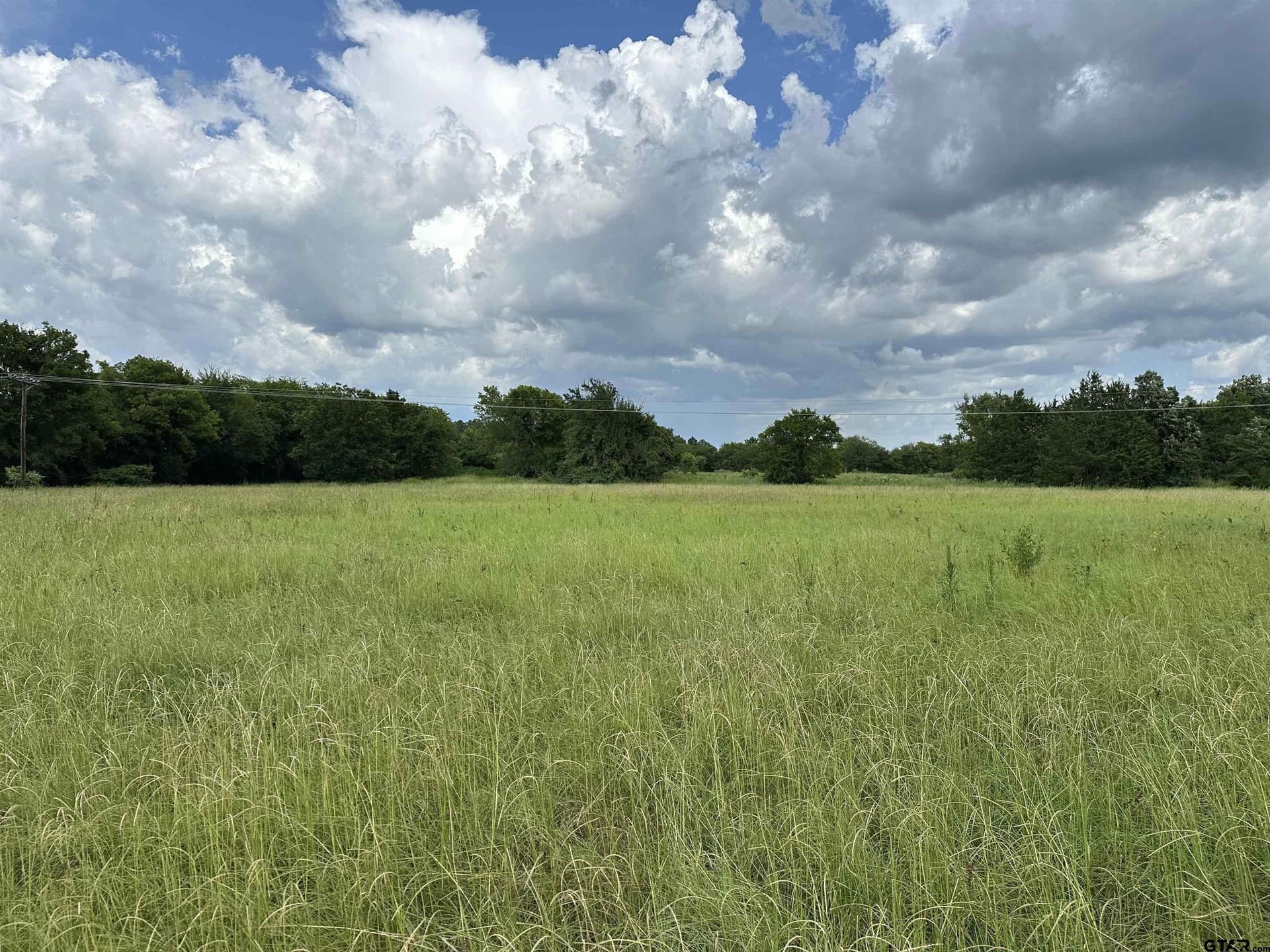 42.48 acres in Anderson County - photo 12