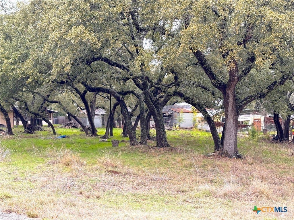 0.23 acres in Comal County gallery image 2