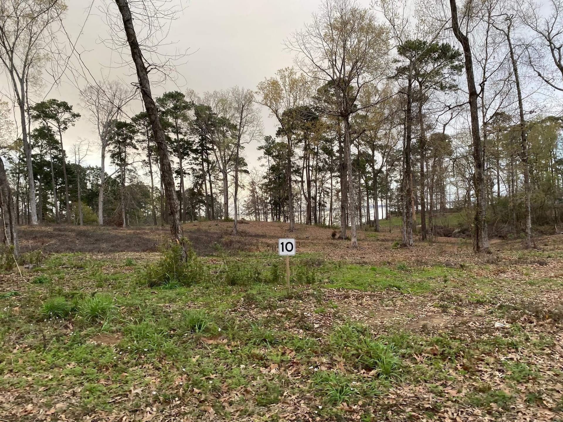 2.53 acres in Texas County gallery image 3