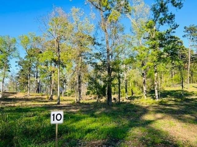 2.53 acres in Texas County