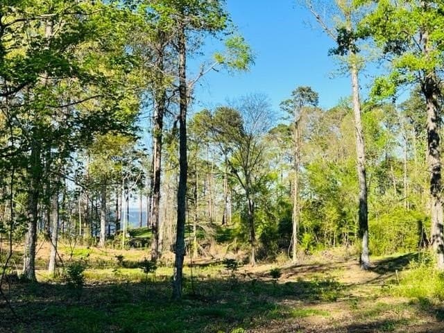 2.53 acres in Texas County gallery image 2