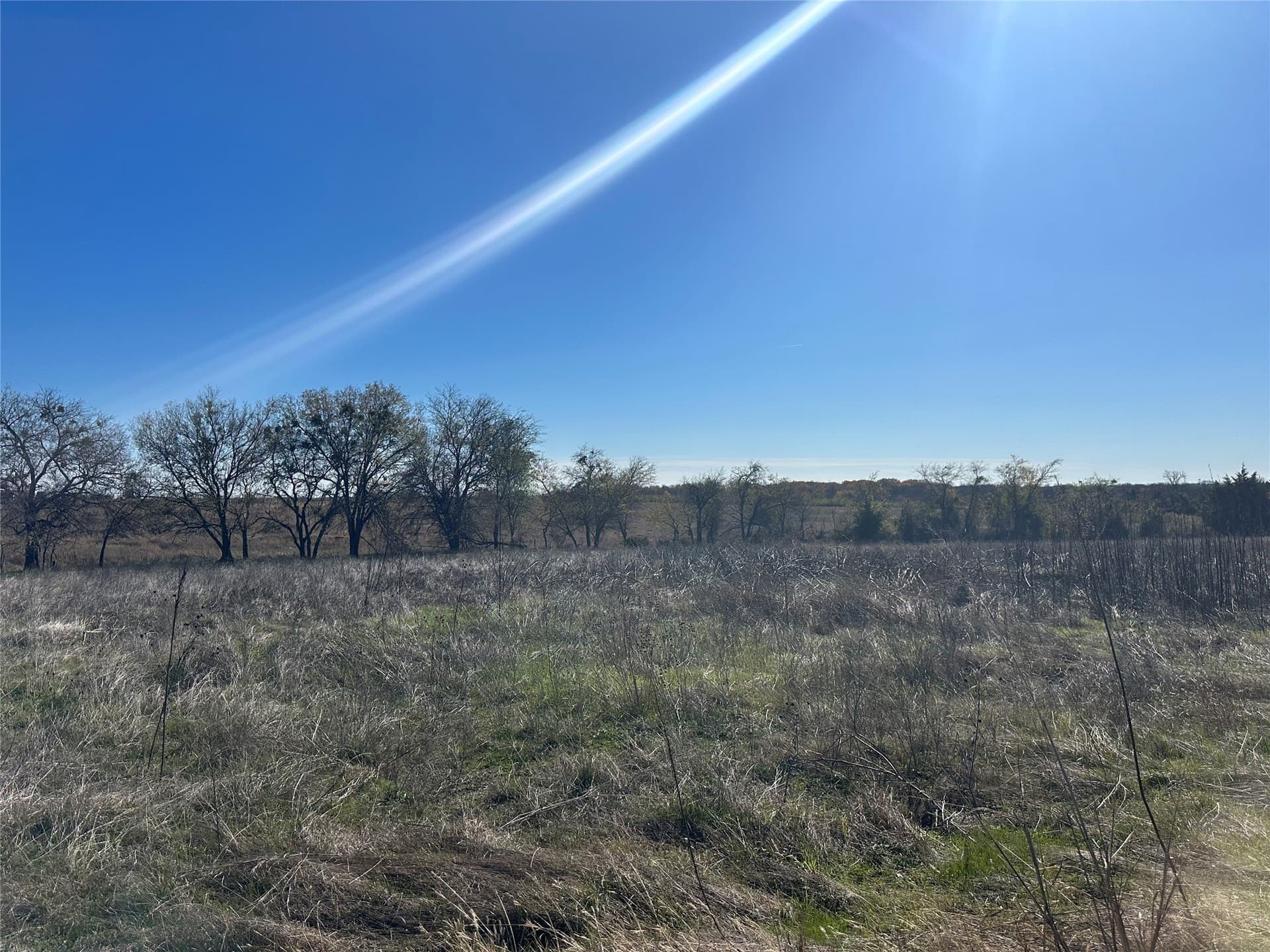 49.74 acres in Ellis County - photo 9