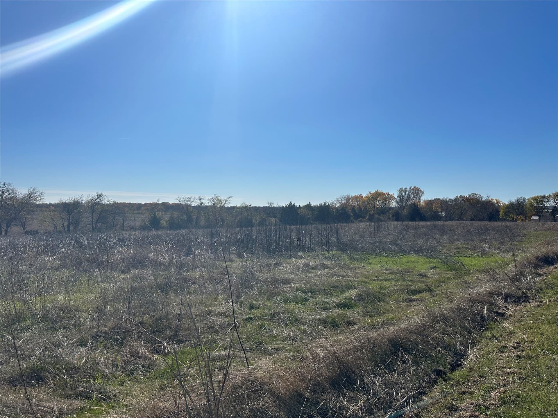 49.74 acres in Ellis County - photo 10