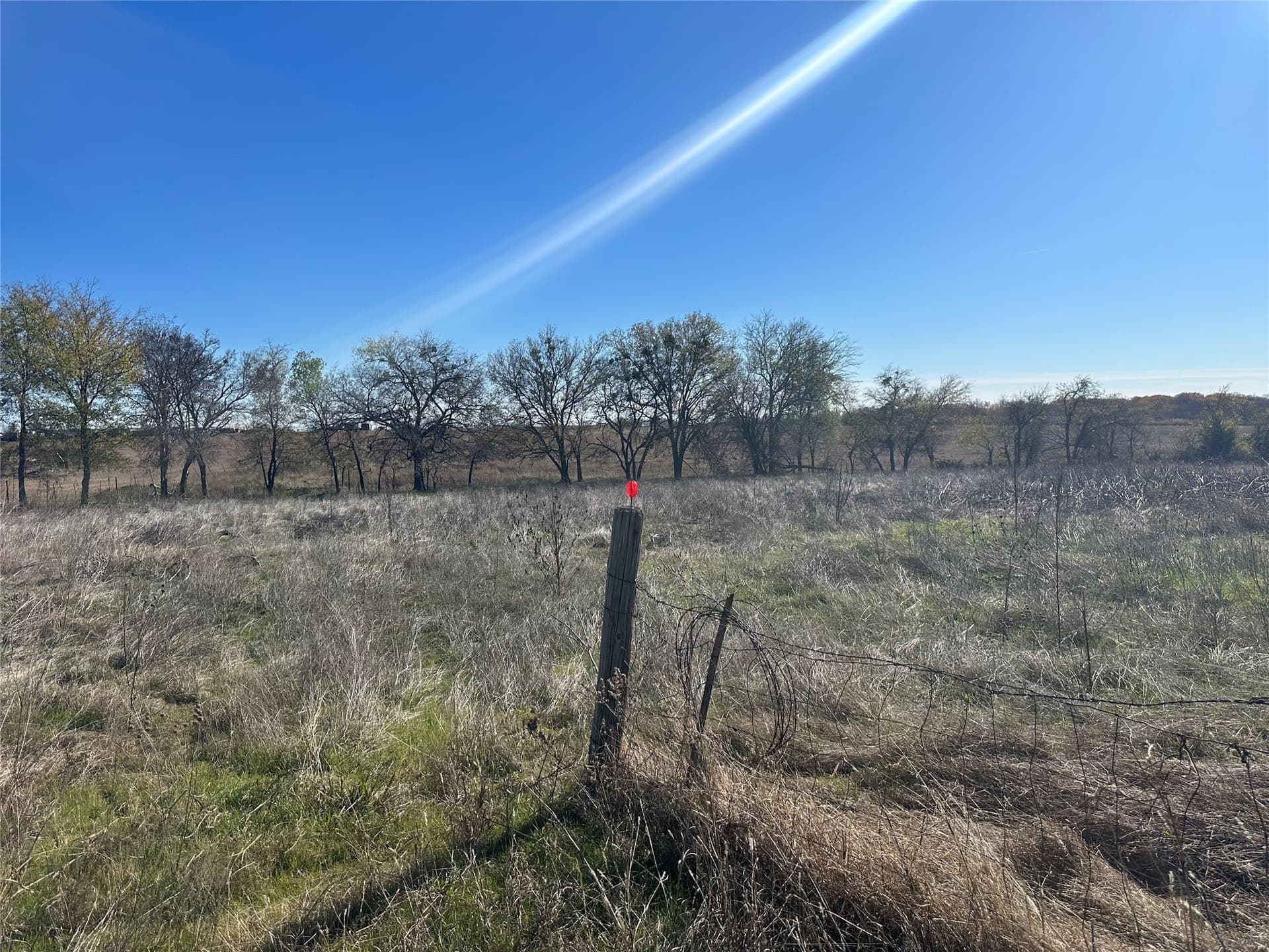 49.74 acres in Ellis County - photo 7