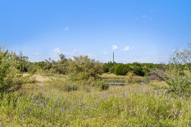 29.37 acres in Burnet County - photo 24