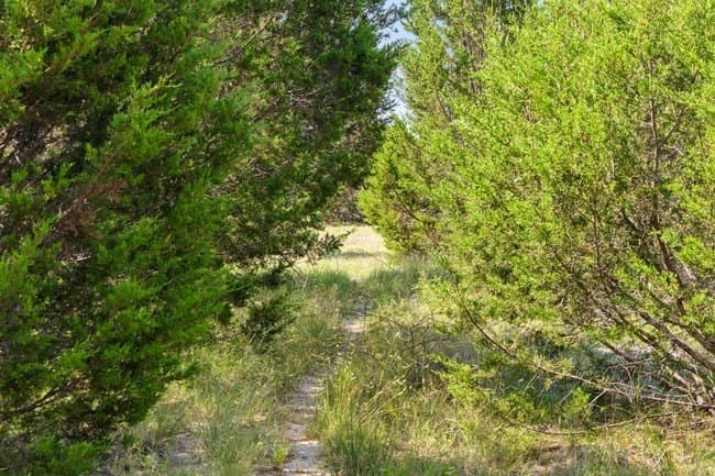 29.37 acres in Burnet County - photo 29