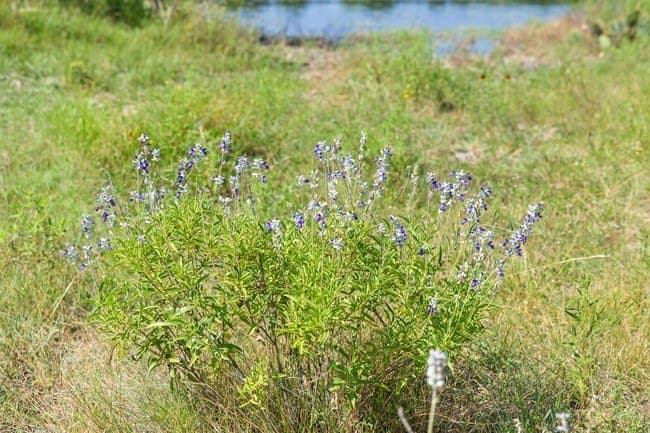 29.37 acres in Burnet County - photo 30
