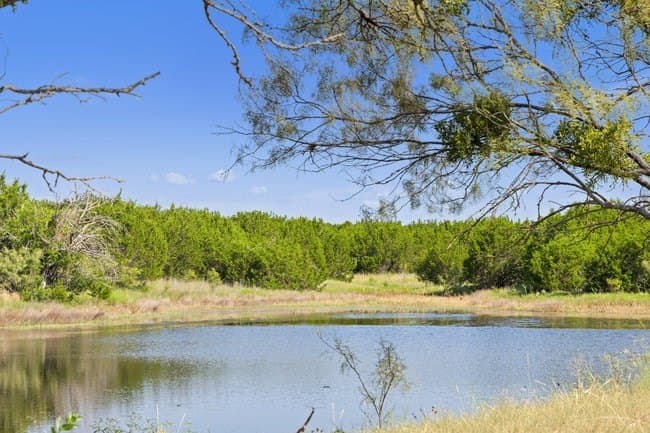 29.37 acres in Burnet County - photo 22