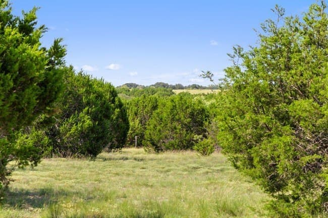 29.37 acres in Burnet County - photo 28