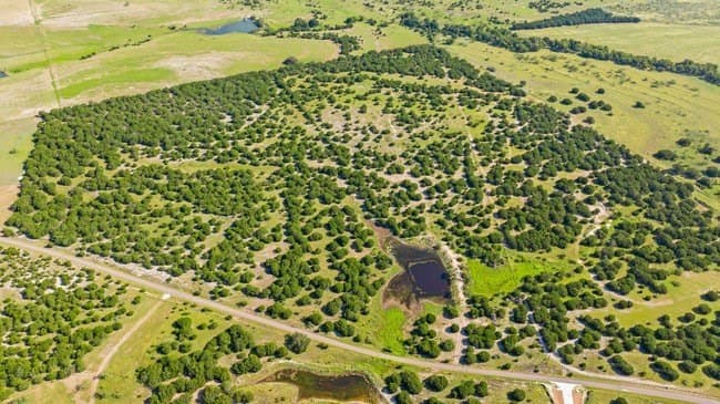 29.37 acres in Burnet County gallery image 4