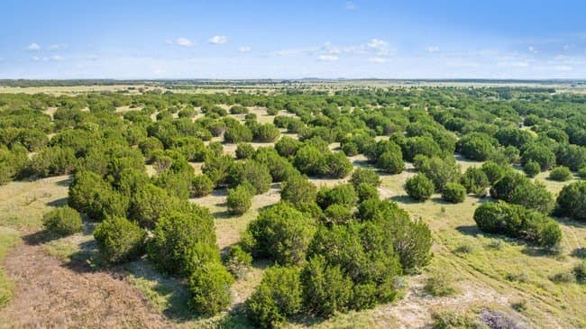 29.37 acres in Burnet County - photo 17