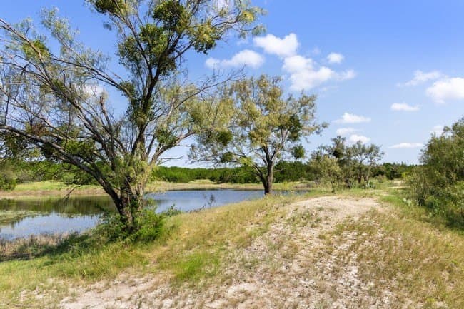 29.37 acres in Burnet County - photo 32
