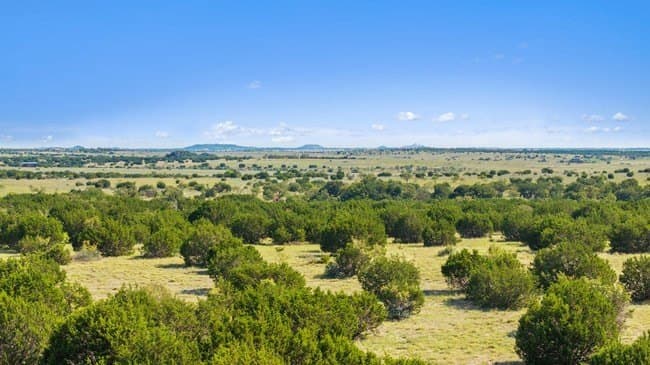 29.37 acres in Burnet County - photo 15