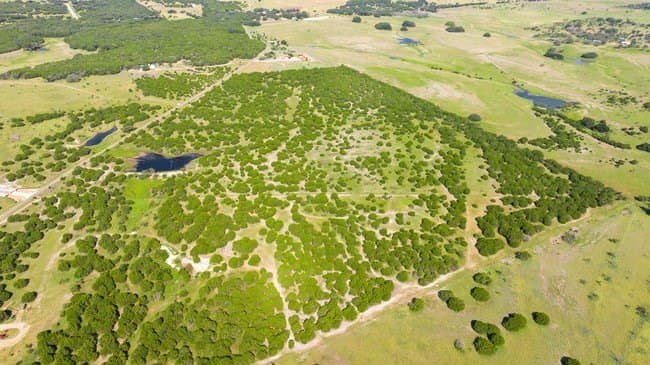 29.37 acres in Burnet County - photo 10