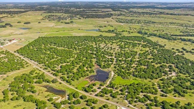 29.37 acres in Burnet County - photo 6