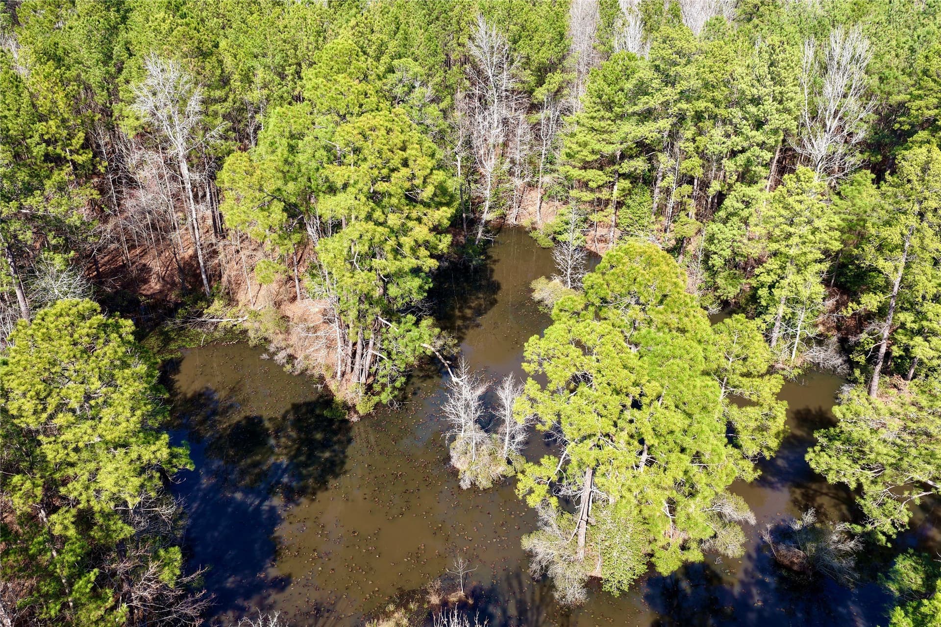 468 acres in Bowie County - photo 11