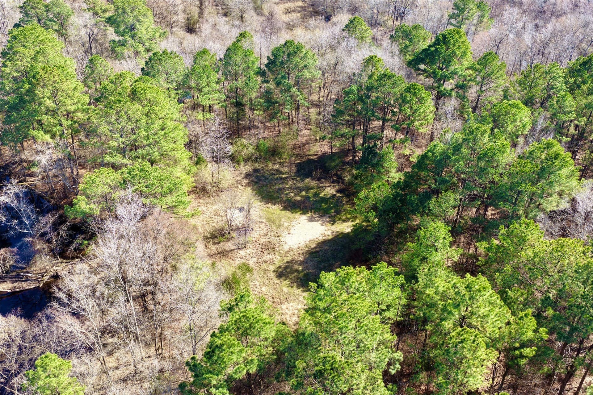 468 acres in Bowie County - photo 19