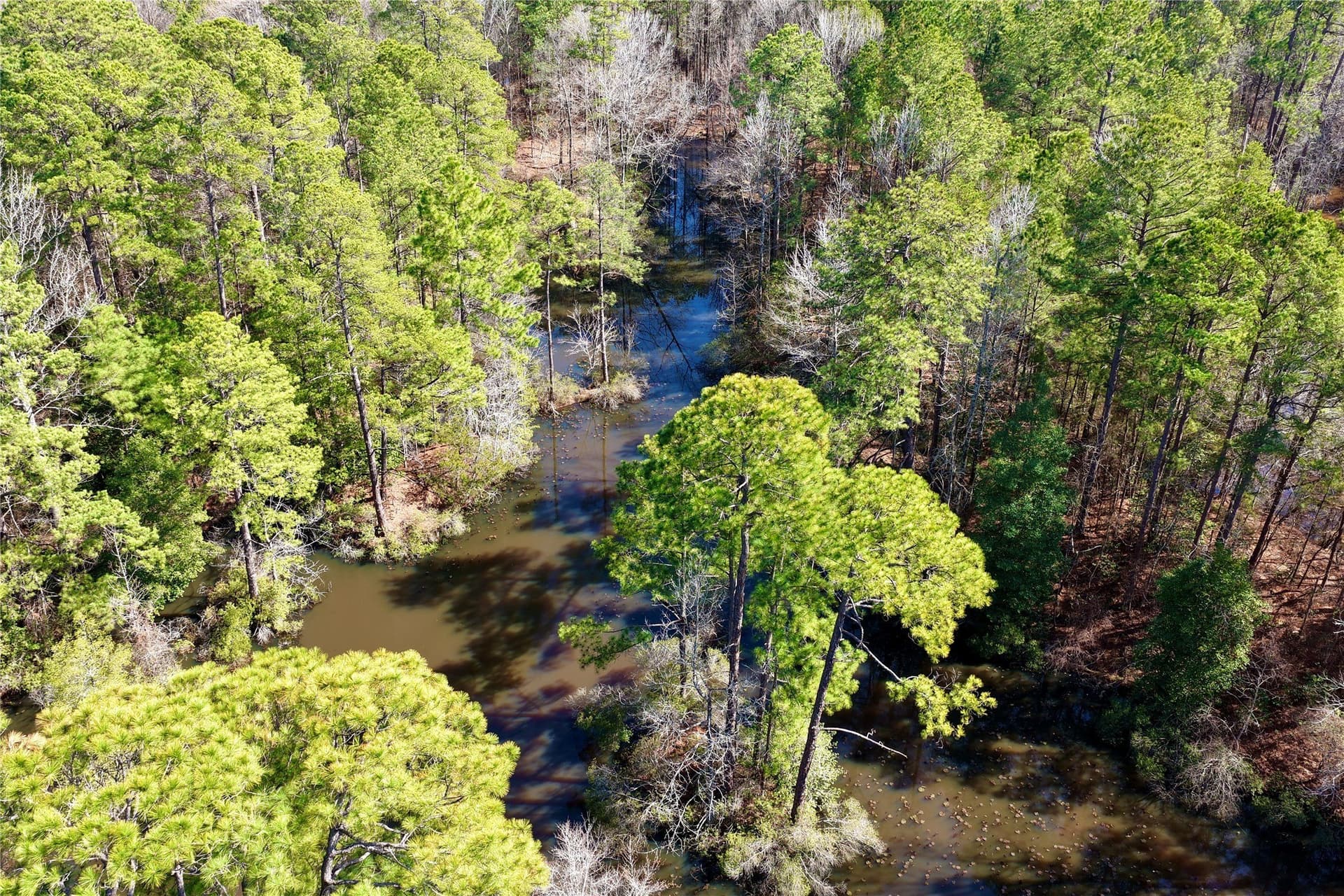468 acres in Bowie County - photo 9