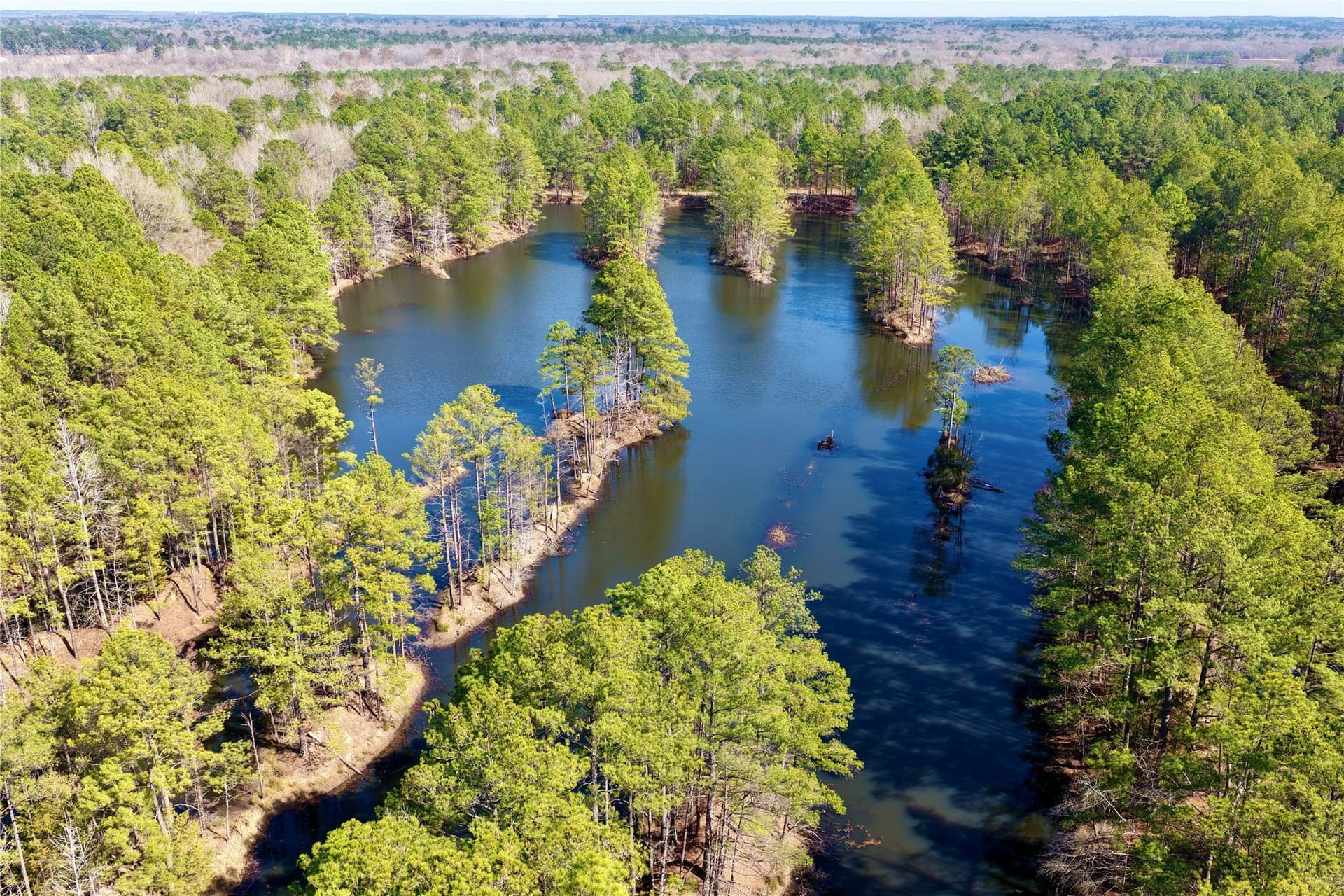 468 acres in Bowie County - photo 2
