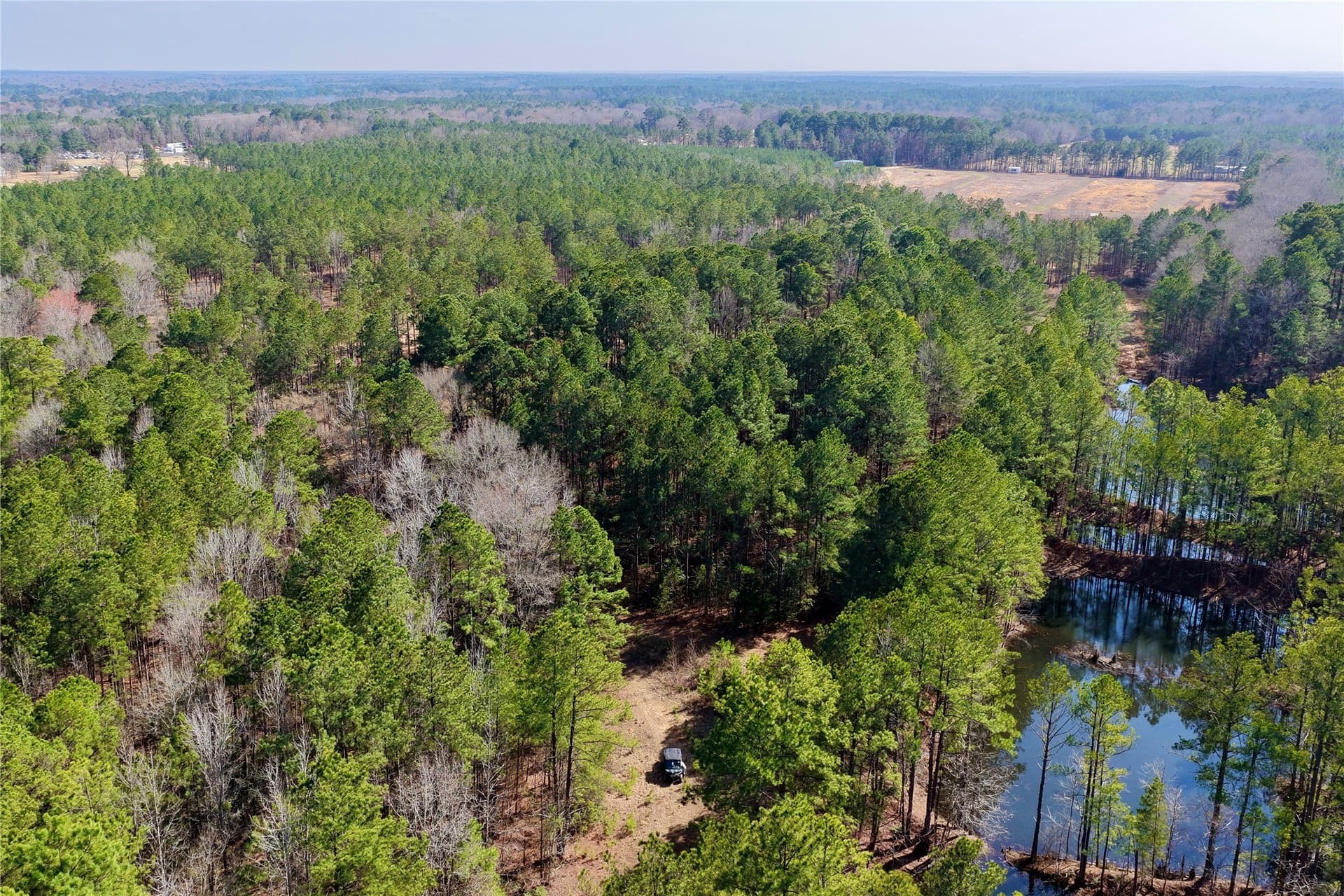 468 acres in Bowie County - photo 33