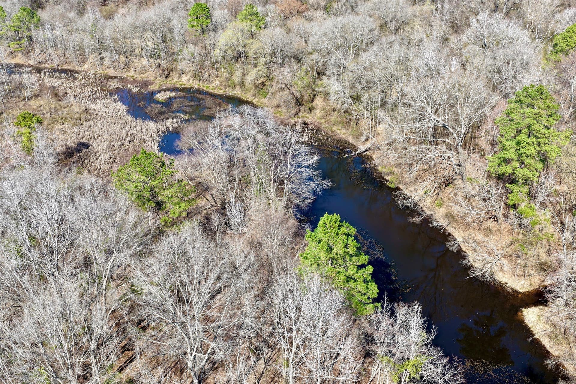 468 acres in Bowie County - photo 16