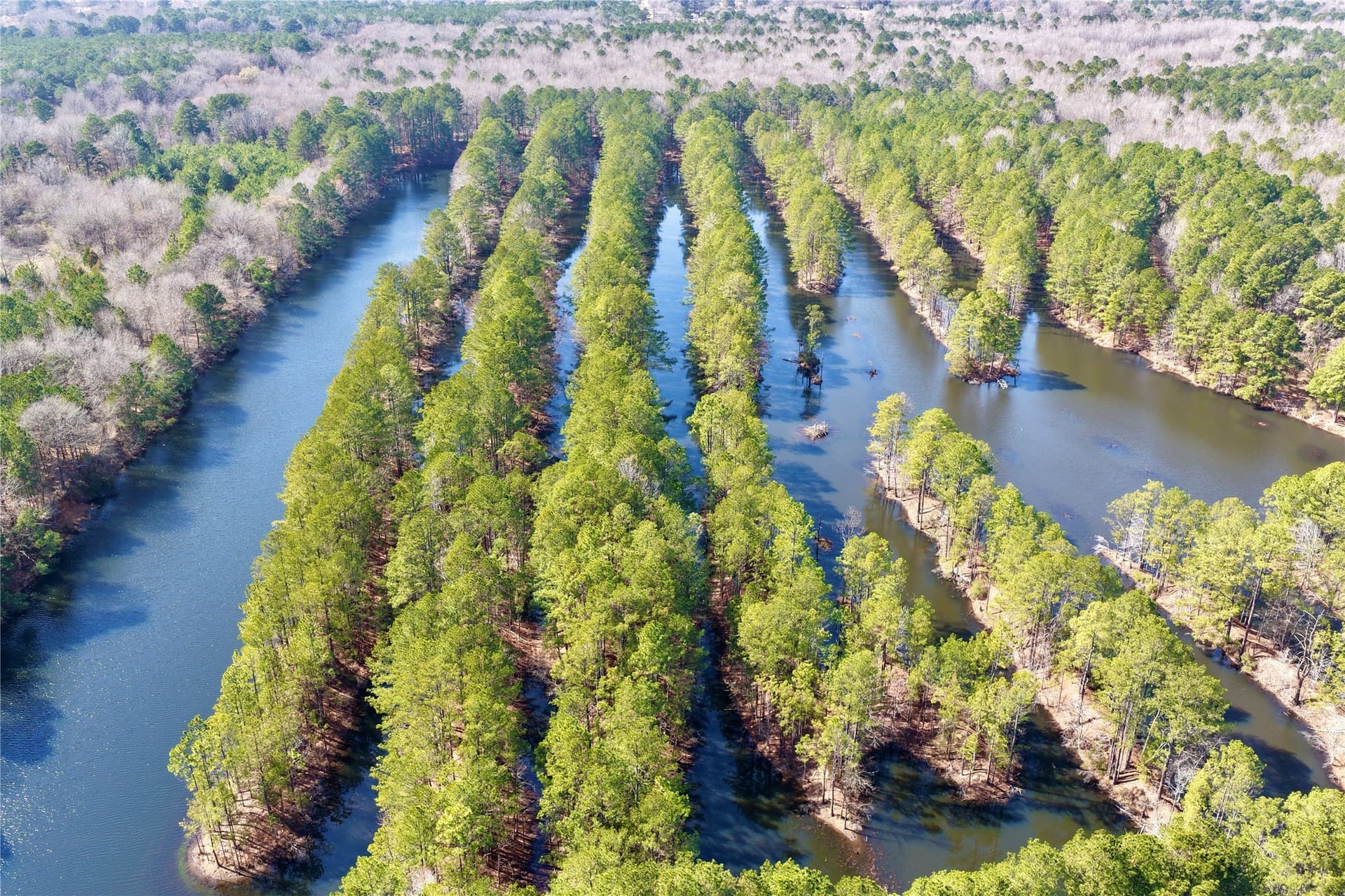 468 acres in Bowie County - photo 3
