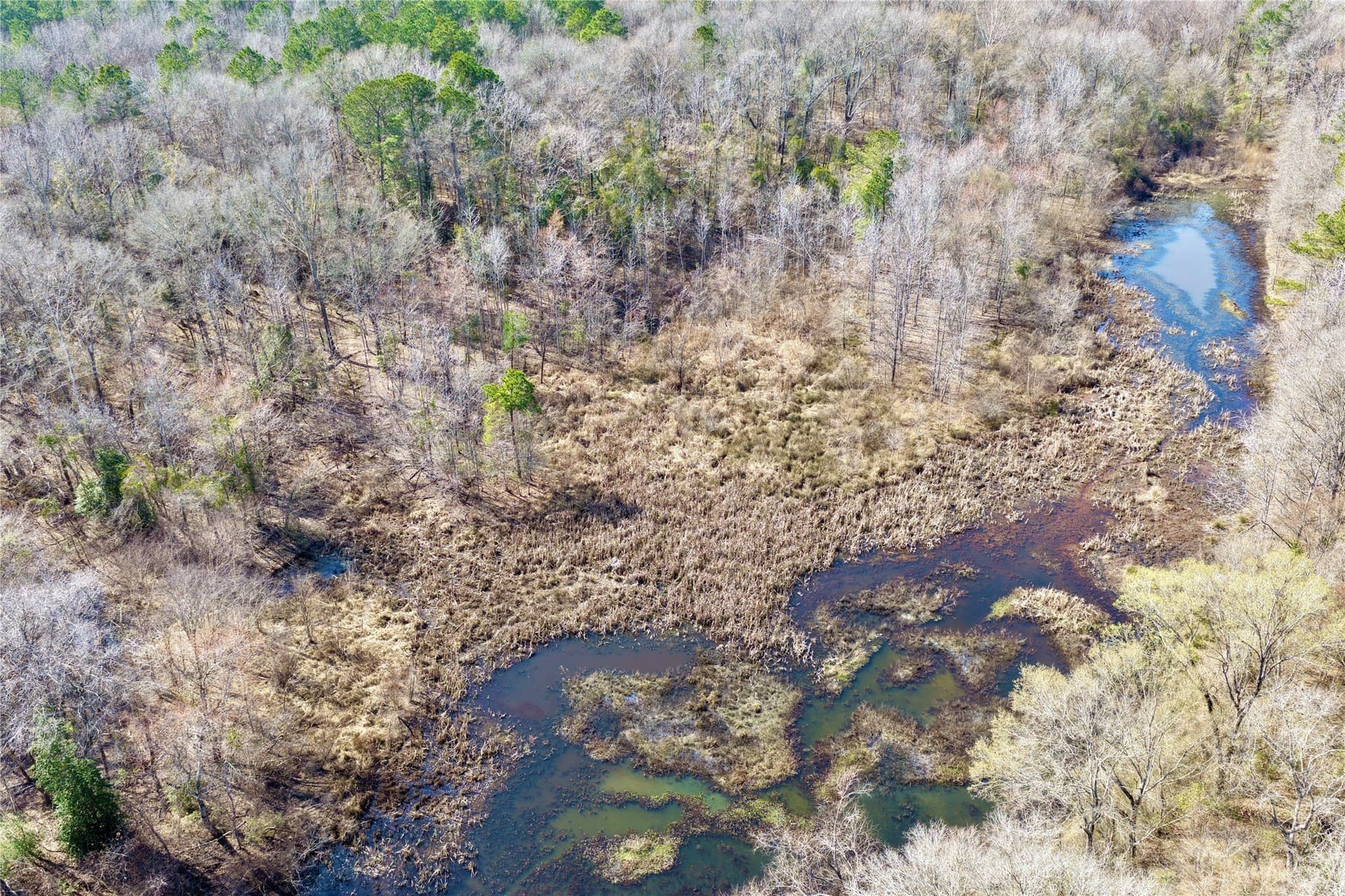 468 acres in Bowie County - photo 13