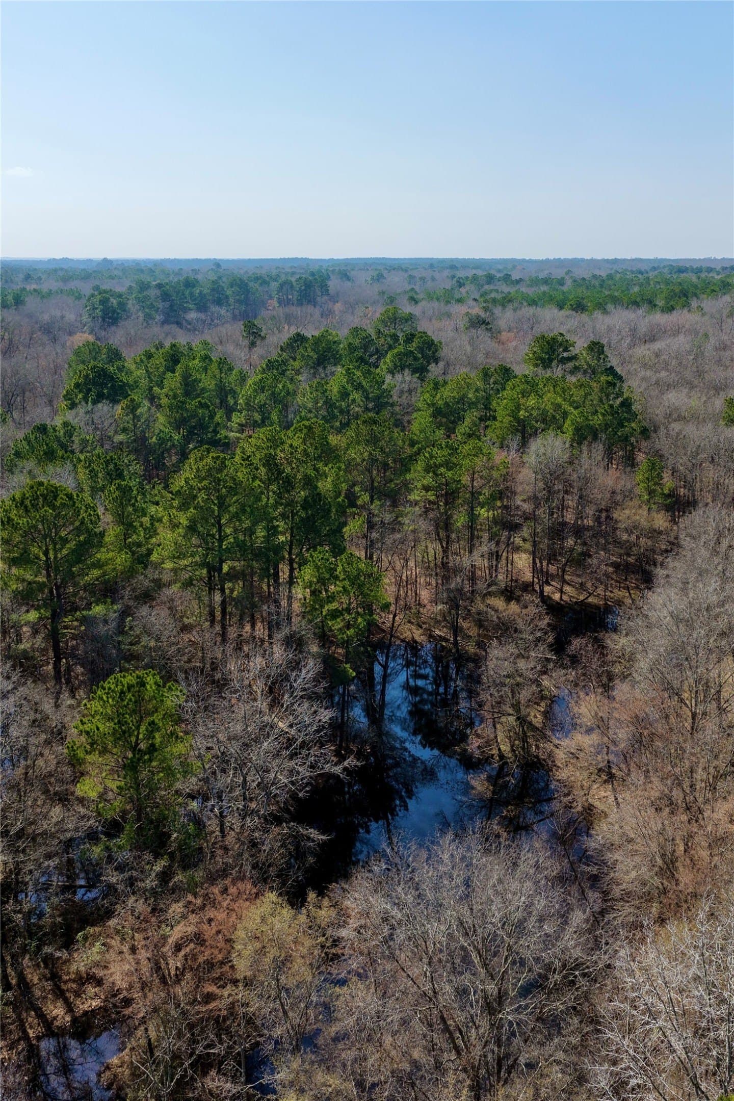 468 acres in Bowie County - photo 23