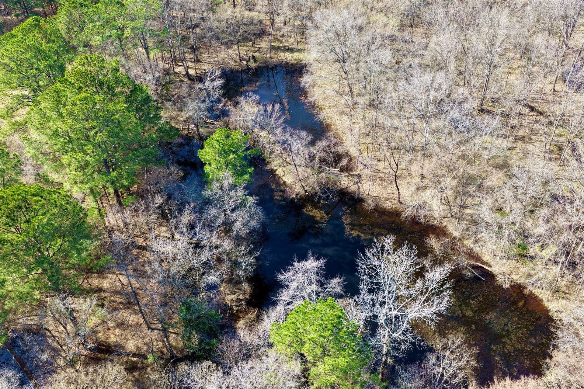 468 acres in Bowie County - photo 24