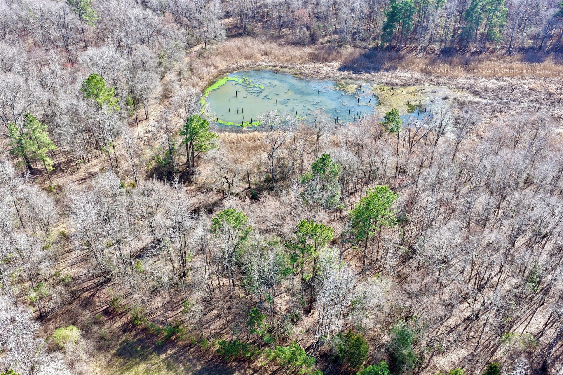 468 acres in Bowie County - photo 27