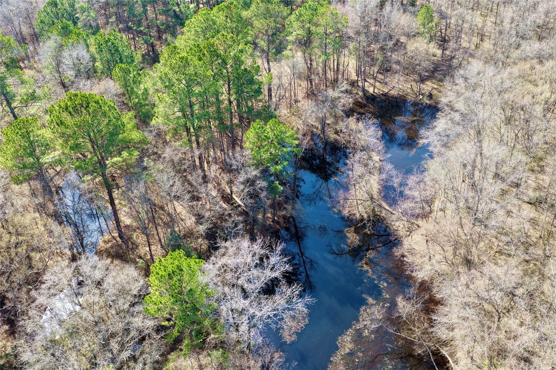 468 acres in Bowie County - photo 22