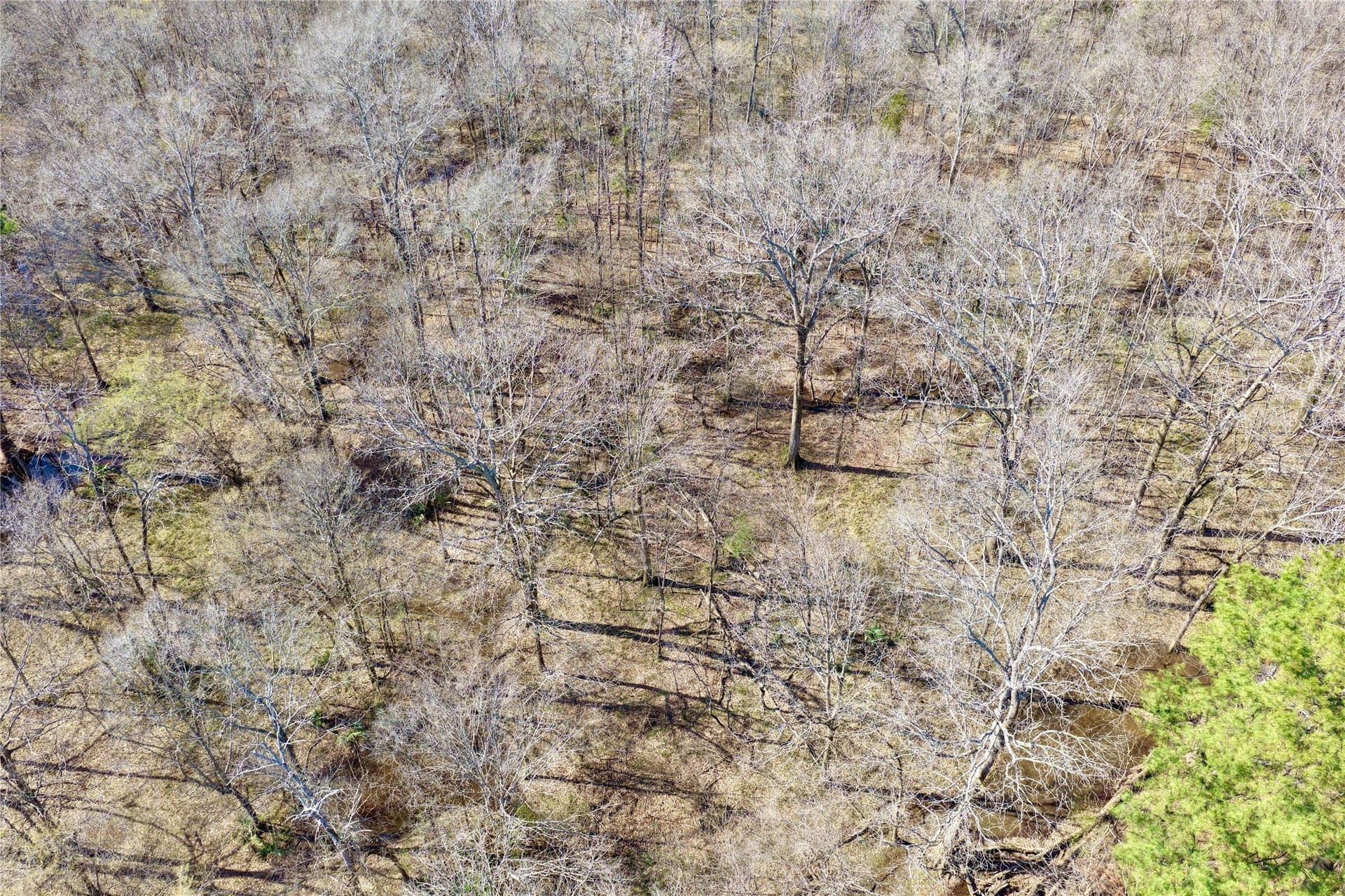 468 acres in Bowie County - photo 25
