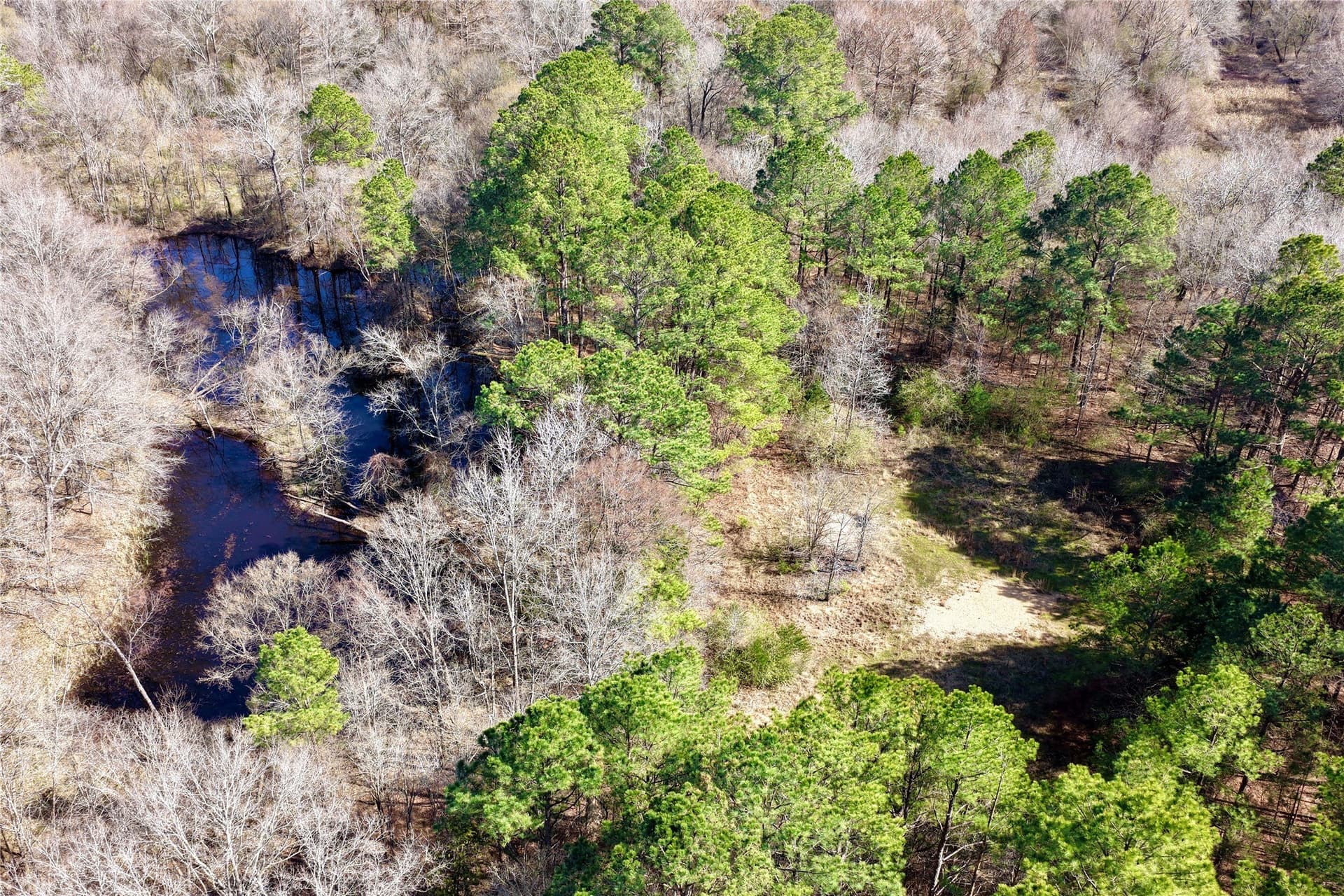 468 acres in Bowie County - photo 18