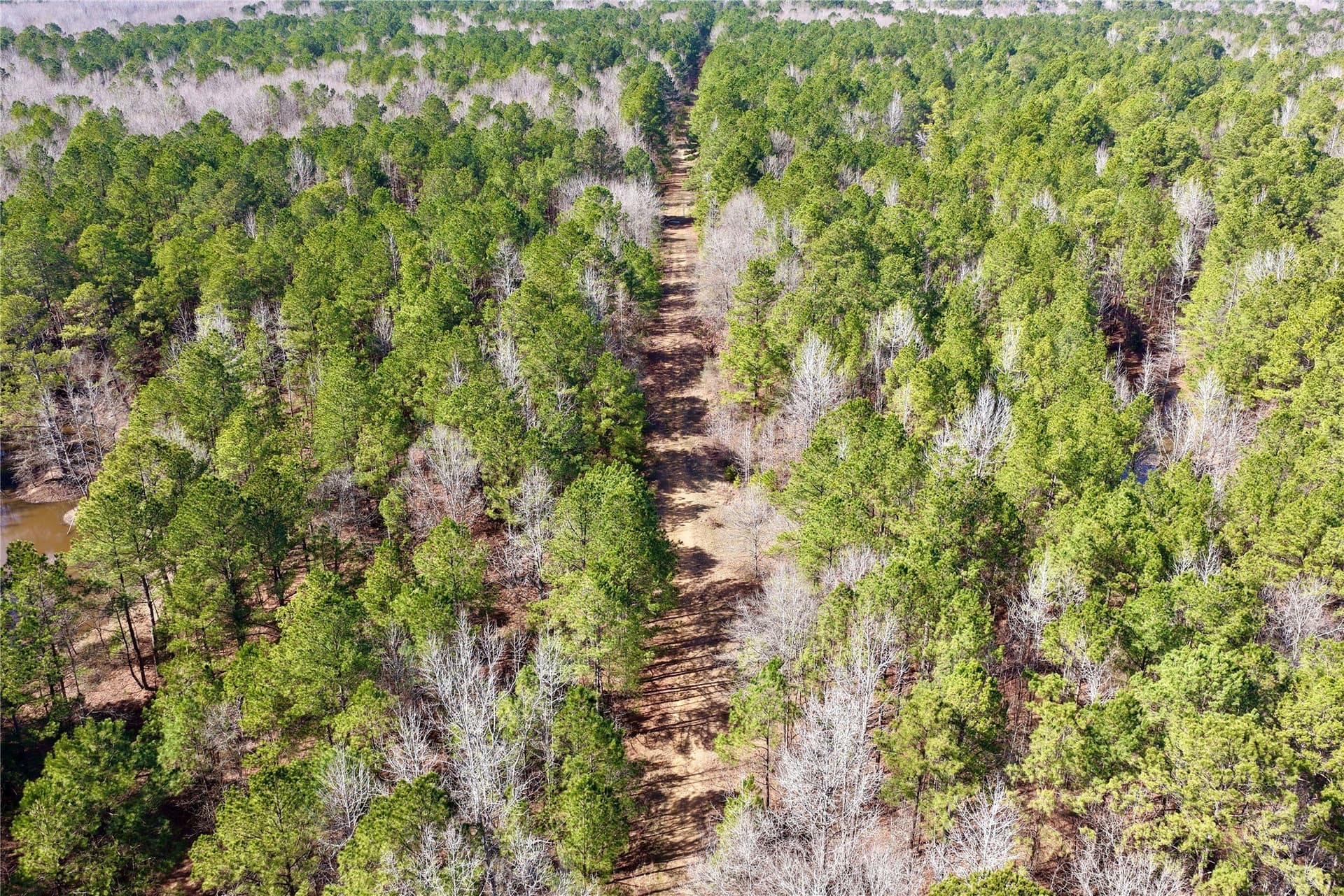 468 acres in Bowie County - photo 7