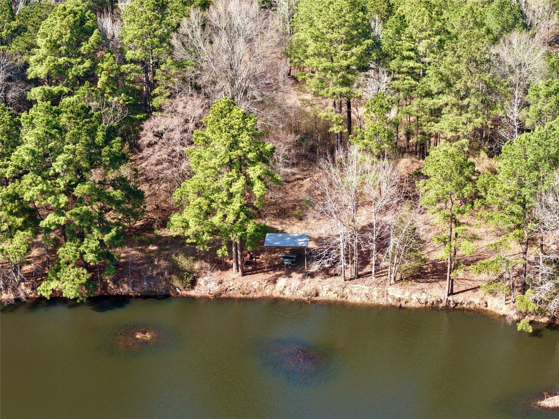 468 acres in Bowie County - photo 38