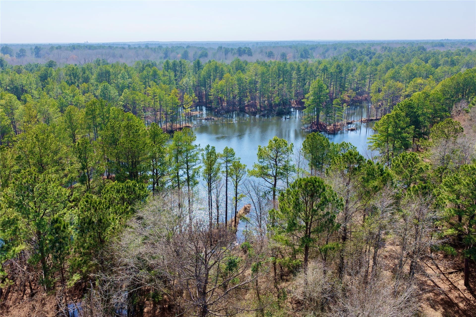 468 acres in Bowie County - photo 8