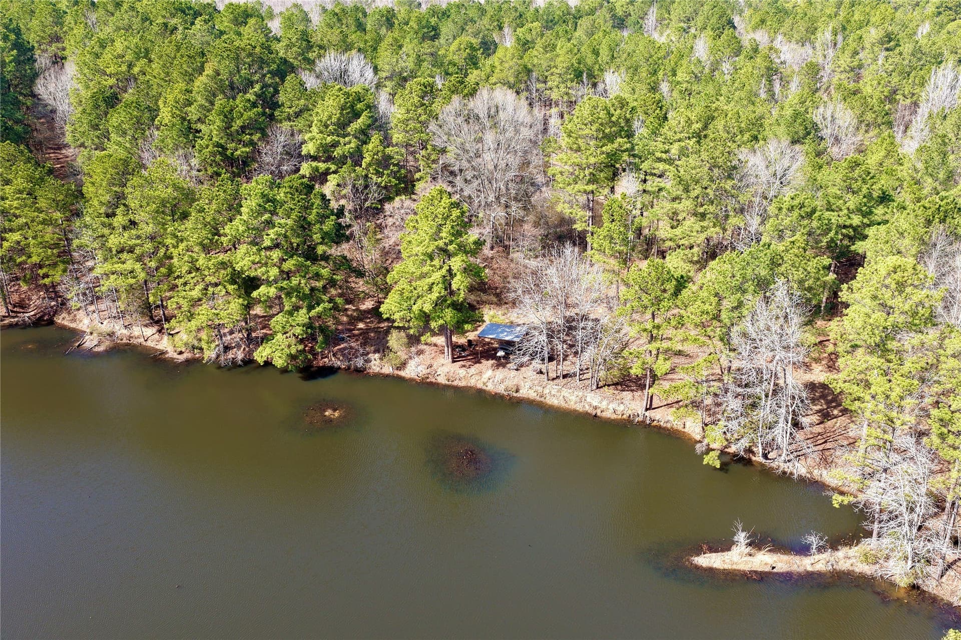 468 acres in Bowie County - photo 5