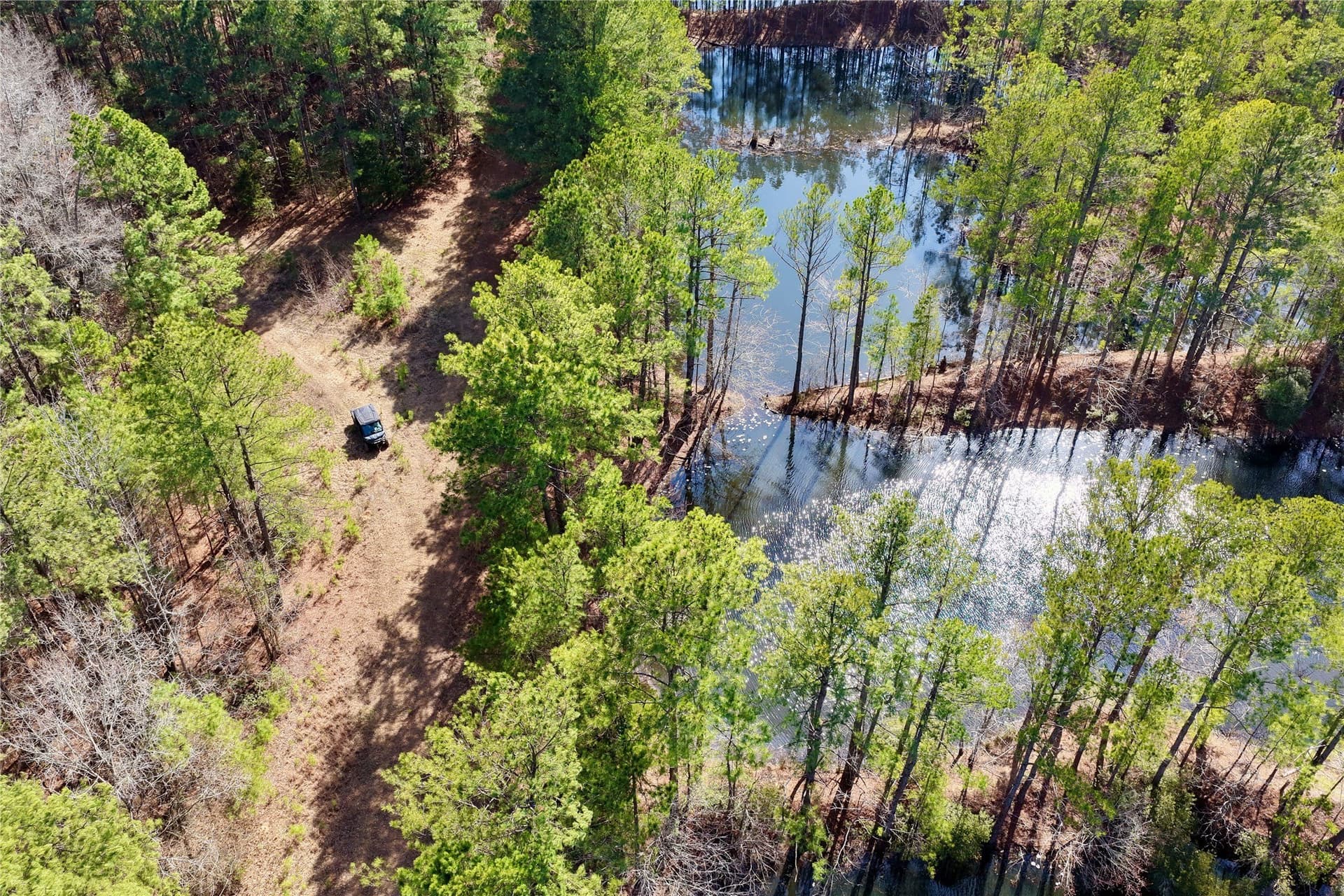 468 acres in Bowie County - photo 6