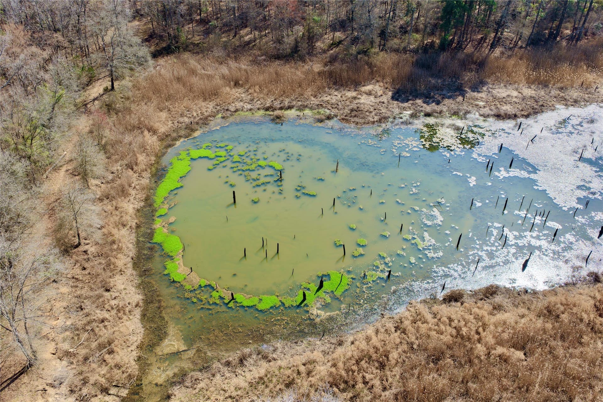 468 acres in Bowie County - photo 20