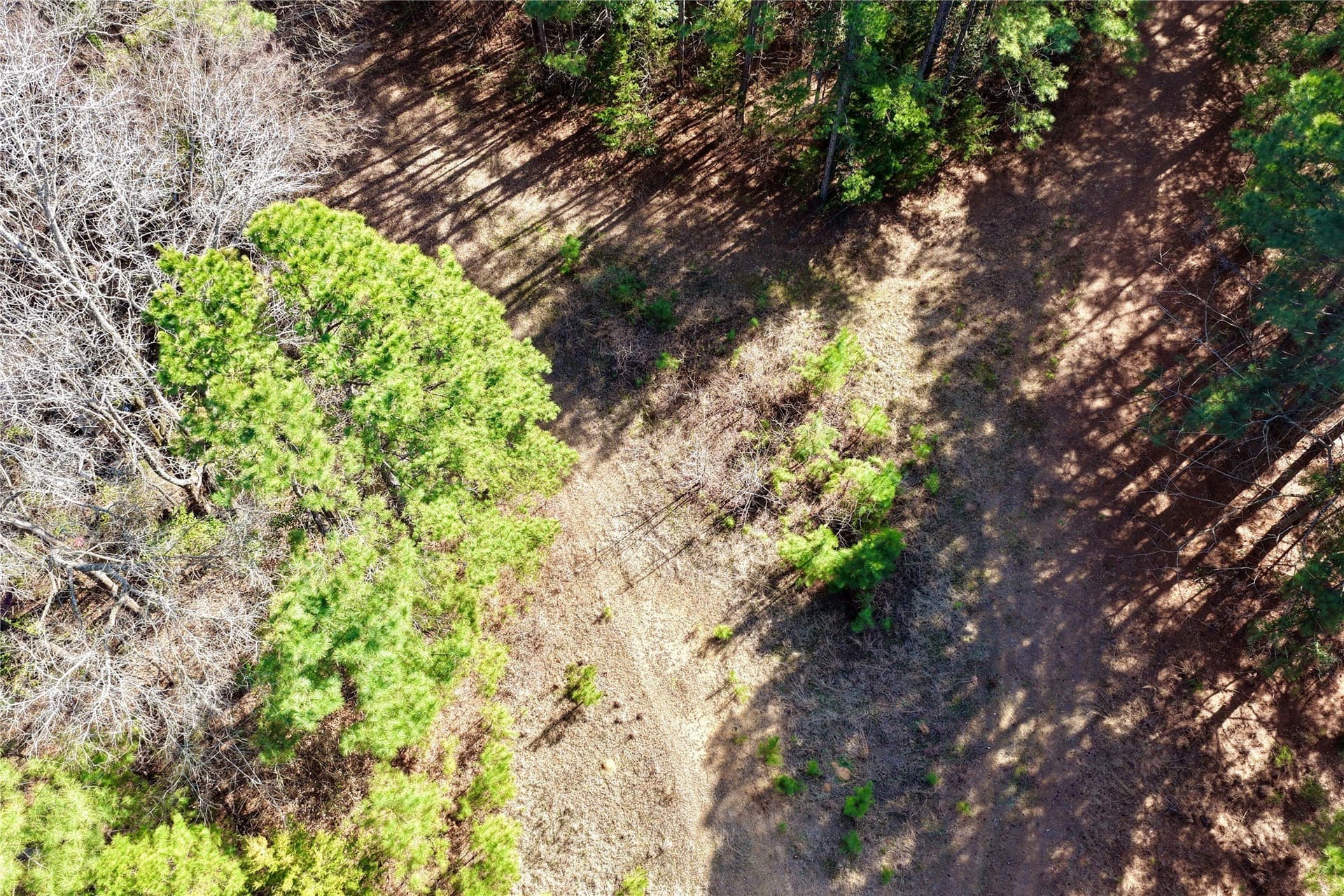 468 acres in Bowie County - photo 35