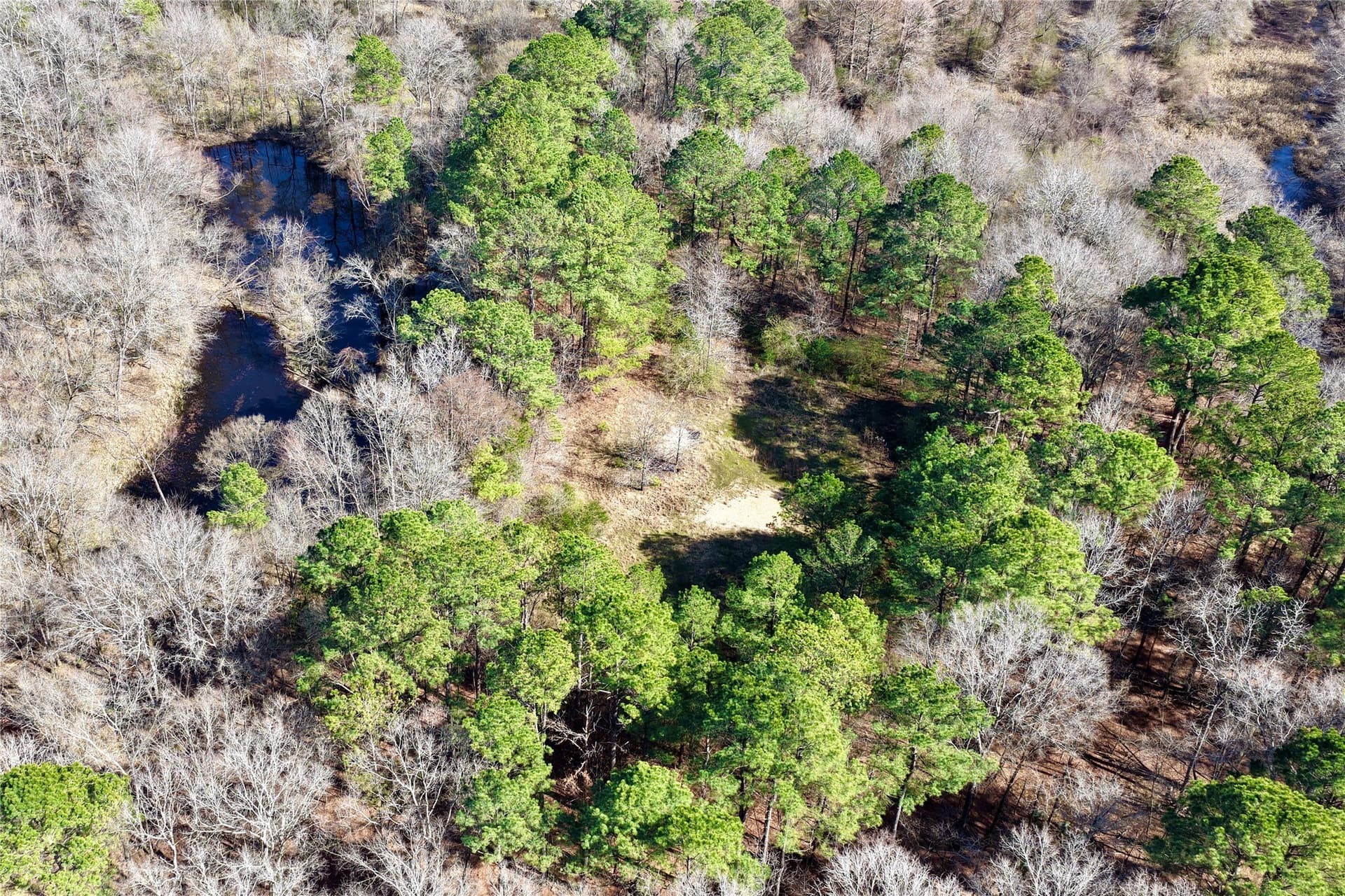 468 acres in Bowie County - photo 29