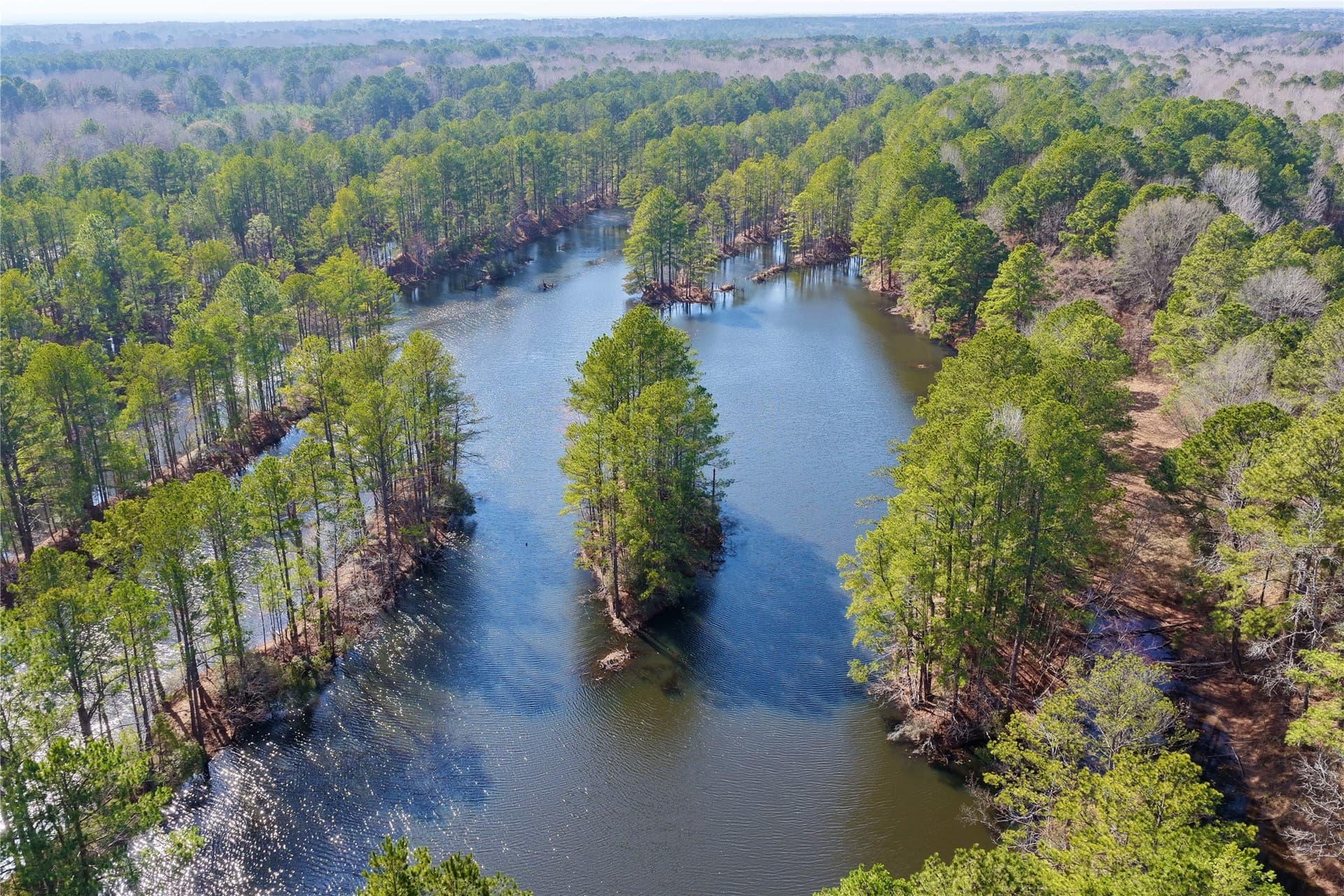 468 acres in Bowie County - photo 39