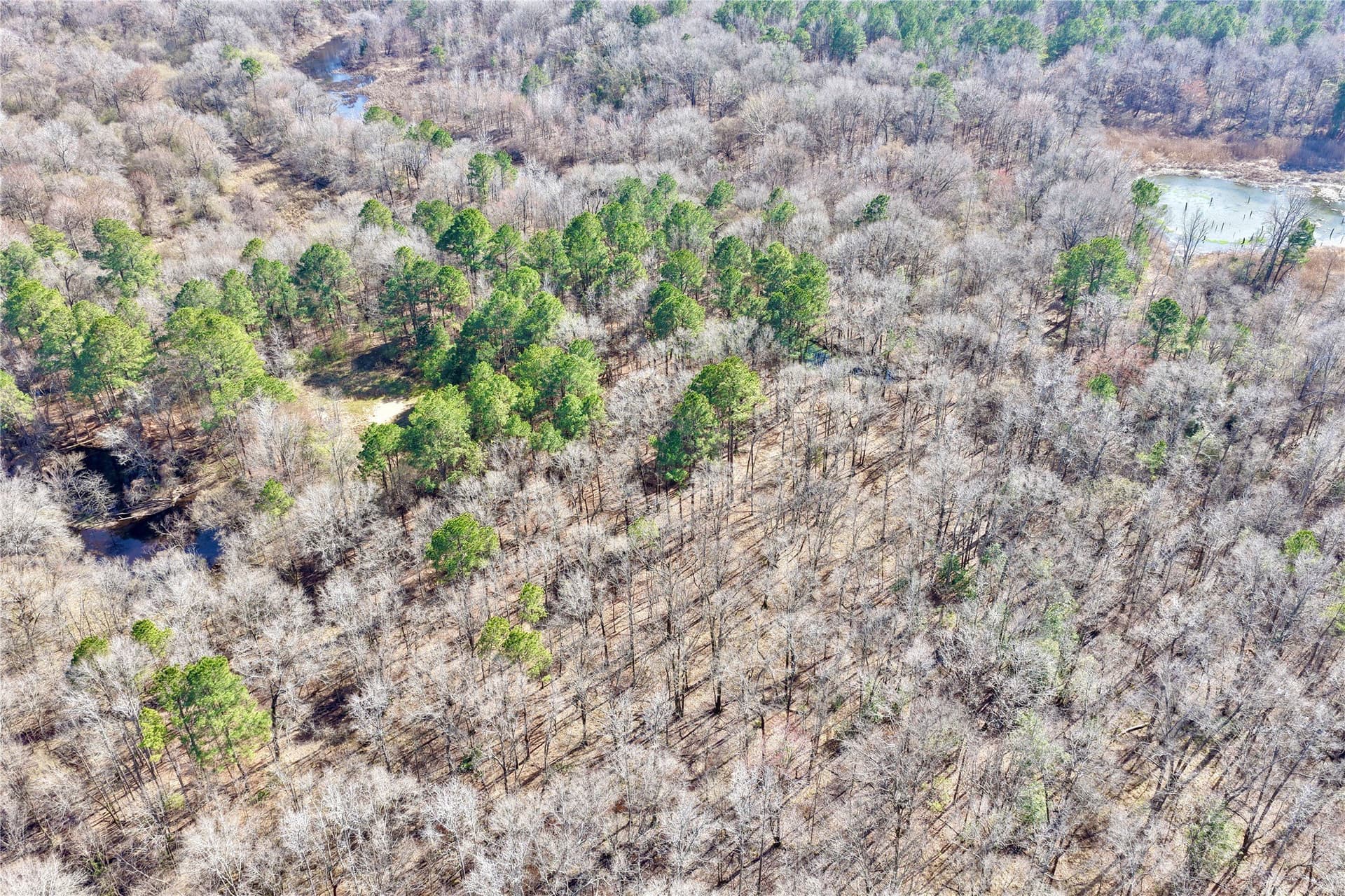 468 acres in Bowie County - photo 28